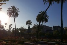 808 sevilla